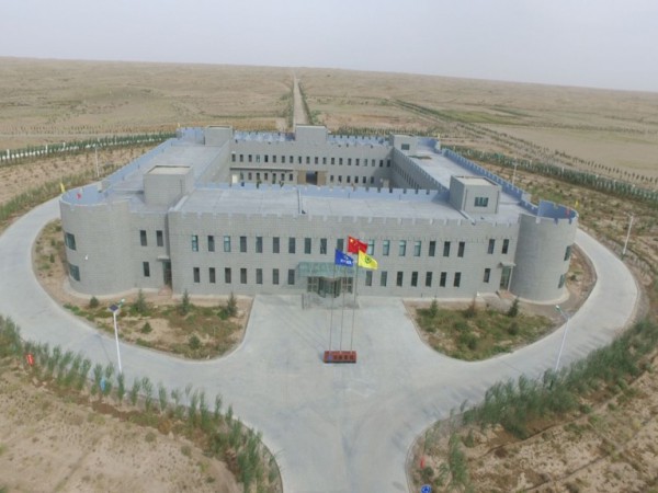 中國綠色碳匯基金會調(diào)研甘建投工程與生物治沙試驗基地