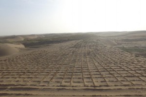 涼州區(qū)山水林田湖北部防風(fēng)固沙林建設(shè)項目