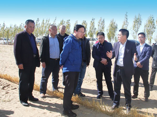 甘肅省科技廳考察調(diào)研新能源公司重大專項(xiàng)項(xiàng)目開展情況