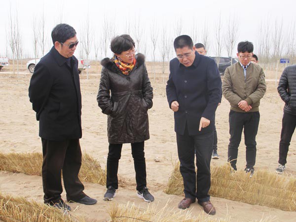 國家林草局調(diào)研新能源公司