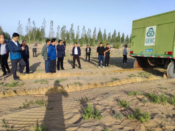 省科技廳副廳長巨有謙一行調(diào)研甘肅建投 全國荒漠化防治(機械治沙工程)試驗示范基地 省科技廳副廳長巨有謙一行調(diào)研甘肅建投 全國荒漠化防治(機械治沙工程)試驗示范基地