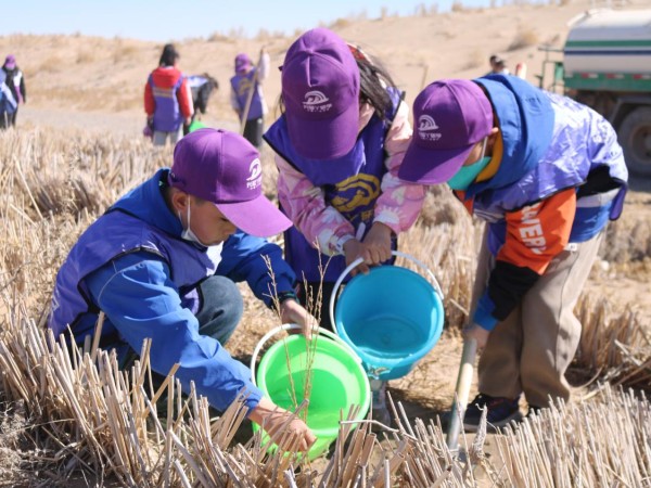甘肅建投新能源公司沙漠研學(xué)旅行基地舉辦“我與小樹共成長，爭做護綠小使者”主題研學(xué)活動