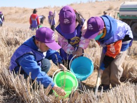 甘肅建投新能源公司沙漠研學(xué)旅行基地舉辦“我與小樹共成長，爭做護綠小使者”主題研學(xué)活動