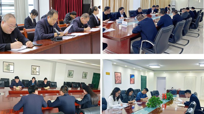 甘肅建投新能源公司各黨支部召開(kāi)2024年度組織生活會(huì)